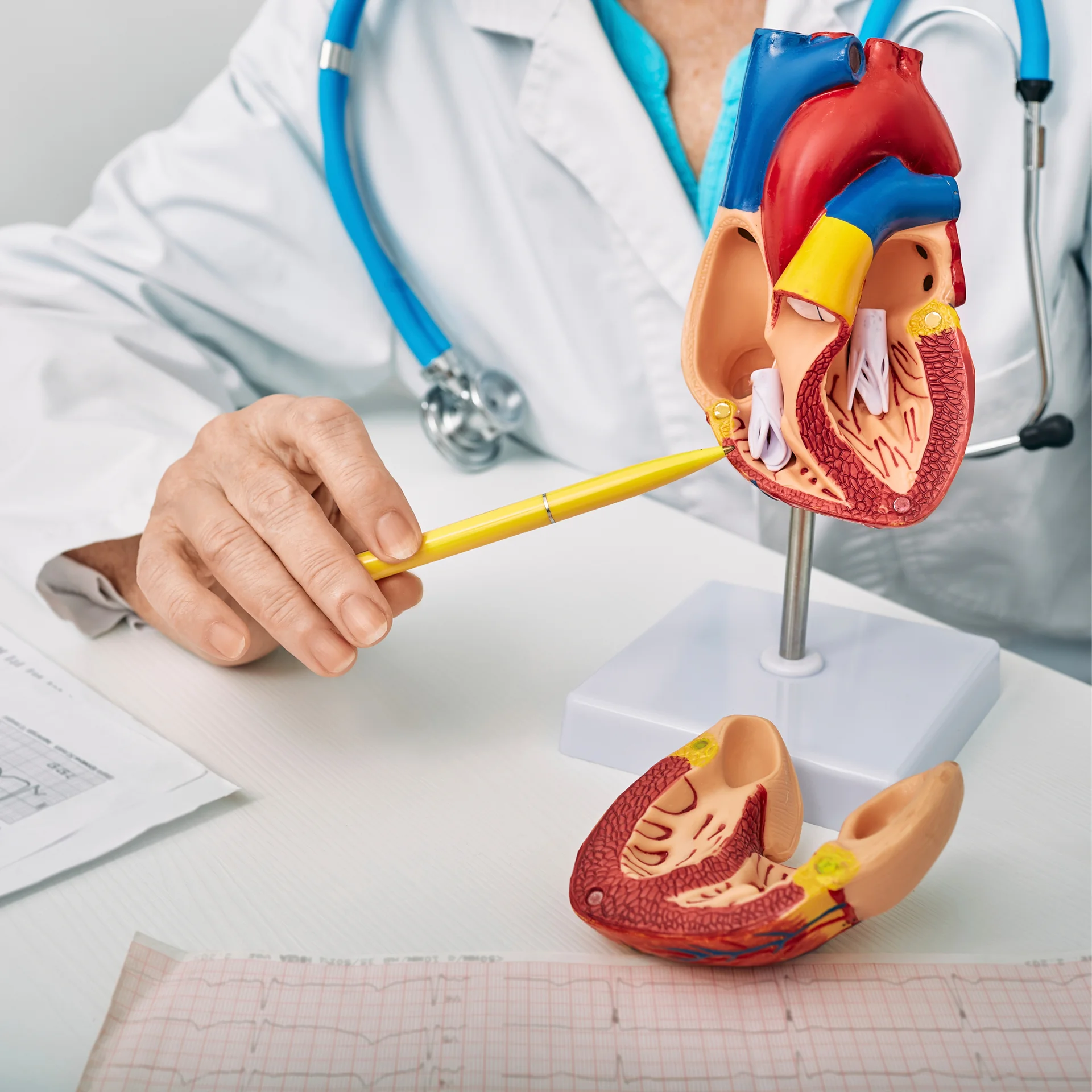 Cardiología