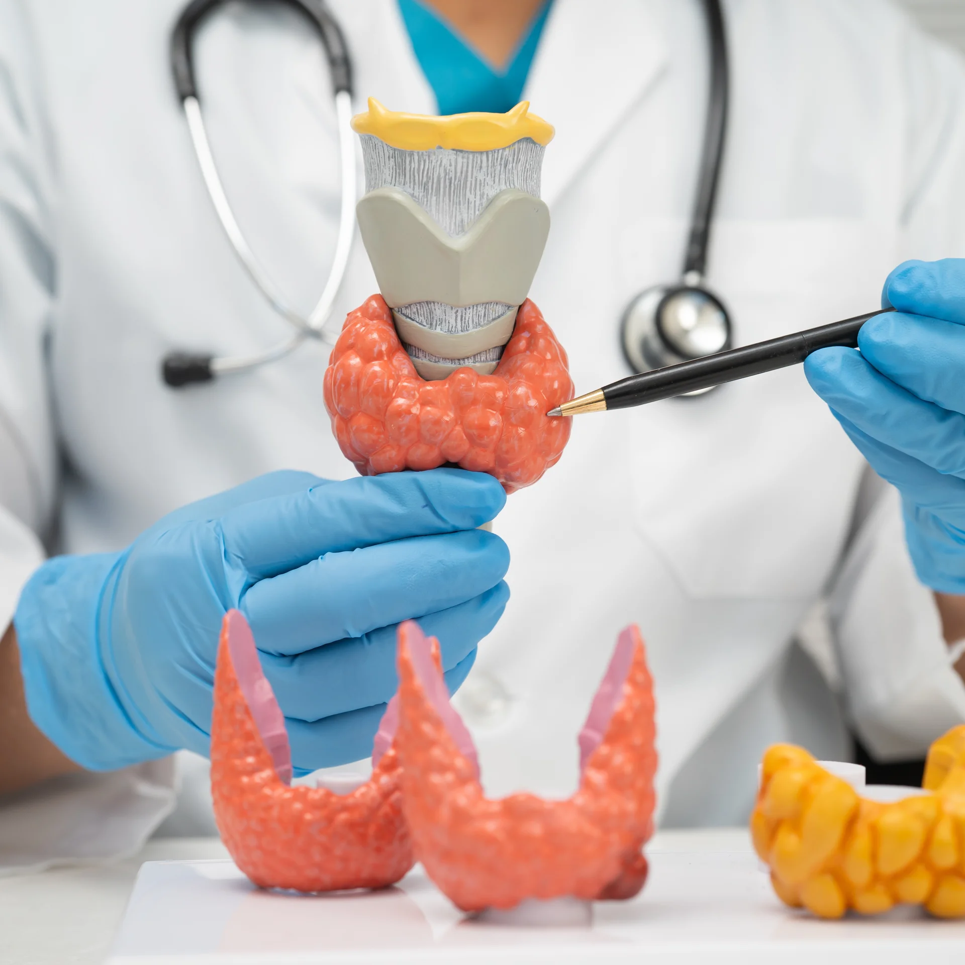 Endocrinología