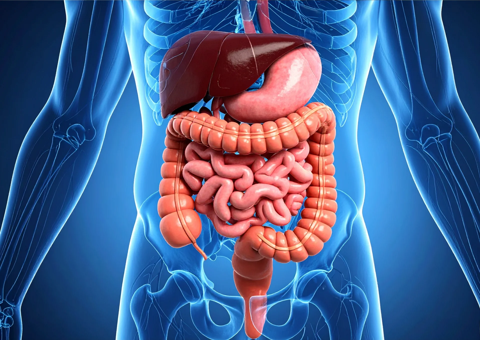 Gastroenterología consulta