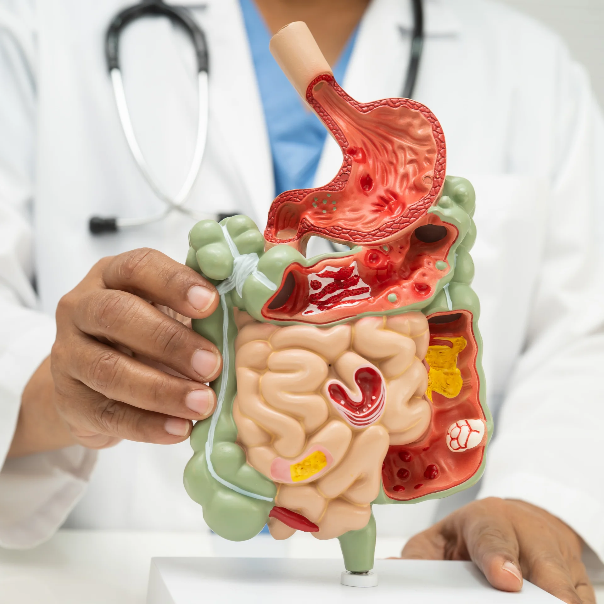 Gastroenterología
